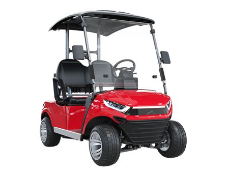 2 Personen Elektro Golfcart