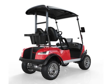 Gelände Golfcarts, Zweisitzer 
